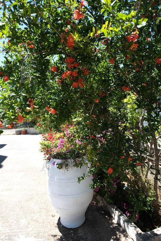 בית הארחה Kissamos Luxurious House חדר תמונה